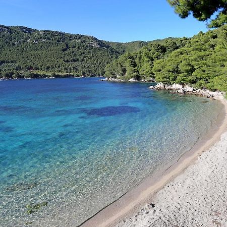 Apartments With A Parking Space Zuljana, Peljesac - 4573 Buitenkant foto